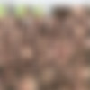 UraBukkake.com Mini Pack thumbnail