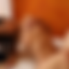 [Photodromm.com] 2018-11-25 Suzanna (Suzanna A, Nadia P, Susi R) - Marrakech Sounds 2 [Solo, Posing] [720p] thumb