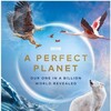 A Perfect Planet (2020) Season 1 S01 (2160p BluRay x265 HEVC 10bit HDR AAC 7 1 Silence) thumb