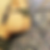 cynegetic Tumblr Rip thumb