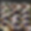[Hunt4k.com] Hunt4k Siterip as of 03.09.2020 (24 clips) 540p thumb