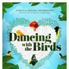 Dancing With The Birds 2019 1080p NF WEB DL DD 5 1 x264 iKA thumb