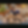 Private Tropical 10 Caribbean Airlines /   (  ) (Alessandro del Mar, Private) [2004 ., All Sex, DVDRip] (Elena, Rita Neri, Alena, Viktorie, Donna Marie, Jennifer Dark, Francesco Malcom, George Uhl, Miki Blu, Philippe Dean, Sebastian Barrio) [rus] thumbnail