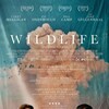 Wildlife 2018 LATiN-SPANiSH 1080p BluRay x264 thumb