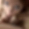 [BrokeAmateurs.com] Wendie (February 20, 2011) [2011 ., RedHead , Oral , Doggystyle , Anal , Facial , CreamPie] + thumbnail