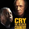 Cry, the Beloved Country [1995] / H264 / MKV / WEB / 1080p / AC3 / Subs / FLUX thumb