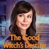 The Good Witch's Destiny [2013] / H264 / MKV / WEB / 1080p / AC3 / Subs / EDGE2020 thumb