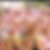 [CLUBSWEETHEARTS.COM] Image siterip, 2396 sets [2017 - 2022.03] thumb