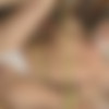 [SquirtingVirgin.com / TeenMegaWorld.net] Antonia [2011 ., Legal Teen, Anal, Squirt, Fetish, Hardcore, All Sex, SiteRip, 406p] thumb