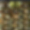 [Jamesdeen.com] Complete SiteRip - Part 1 [REQ] thumb