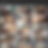 [dreamtranny.com] DreamTranny Collection thumbnail