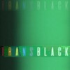 Transblack S01E02 1080p HDTV H264-CBFM thumb