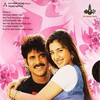 Ninne Pelladatha [1996] / H264 / MKV / WEB / 1080p / AAC / Telugu / Subs / AKG thumb