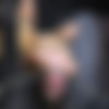 [SexuallyBroken.com] 2017, 2018 pack thumbnail