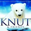 Knut & Friends [2008] / H264 / MKV / Blu-ray / SD / AC3 / Subs / HANDJOB thumb