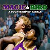 Magic & Bird: A Courtship of Rivals [2010] / H264 / MKV / WEB / 1080p / AC3 / Subs / monkee thumb