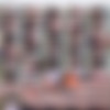 AussiePOV.com - Partial Siterip (up to 10.17.16) thumb