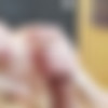 [her-sweet-hand.com] Kykola (Nikola Hanzalova, Charlotte, Charlotta Phillip) [2011, Handjob] thumbnail