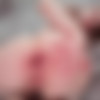 [Fansly.com] NowFaceBaby - Hard Anal and pussy masturbation🖤👊🏼 [31.01.2025, Anal, Anal Play, Fisting, Hardcore, Dildo, Prolapse, Solo, 720p, SiteRip] thumb