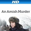 An Amish Murder 2013 1080p WEB H264-CBFM thumb