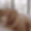 [Vixen.com] Venera Maxima (Swept) [2021-10-08, All Sex, Balls Sucking, Blonde, Blowjob, Cum in mouth, DeepThroat, Facial, Gonzo, Handjob, Hardcore, Medium Tits, 2160p] thumb