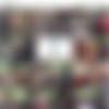 [nip-activity.com] Nude In Public /    (161 ) [Exhibitionist, Public Nudity, SiteRip] thumb