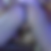 [FerroNetwork.com / Pantyhose1.com] Ambrose A, Keith A (g714) [720p, SATRip/2014 ., Brunette,Small Tits,Natural Tits,Pantyhose,Lesbians,Oral,Kissing] thumb