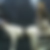 [Sexunderwater.com] Daisy Duxxx, Taylor - Hose 480p + 128 Photos thumbnail