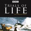 Sir David Attenborough The Trials of Life 1990 DVDRip XviD-aAF thumb