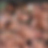 PornBox.com 2021-07 SiteRip Update thumb