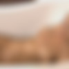 [WowGirls.com] Stasha - Dont Be Shy Stasha [2011 ., Solo, Erotic, Posing, Breasts, Teen, Blondes, 720p] thumb