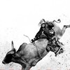 Fearless Season 1 WEBRip 1080p thumb
