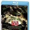 Day of the Dead 2008 1080p BluRay x264-OFT thumb