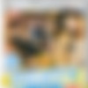 Party Hardcore 32 /   32(Eromaxx Films.Of Amateur Action)[2009, All Sex,DVDRip] thumb