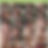 [HookupHotshot] 08-09-2023 - Kalani Luana - Episode 339 2160p thumb