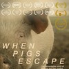 When Pigs Escape [2022] / H264 / MKV / WEB / 1080p / AAC / PaSp thumb
