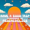 Have a Good Trip: Adventures in Psychedelics [2020] / H264 / MKV / WEB / 1080p / AC3 / Subs / NTG thumb