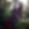 [WTFpass] Porntraveling.com - Cleopatra Rios - Thailand holiday fuck scenes, Bikini girls sex on vacation (720p) thumbnail