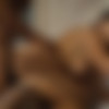 [Blacked.com] Adriana Chechik (Brunette Babe Takes Trio of BBCs / 20.02.16.) [2016 ., Gonzo, IR, Gangbang, Anal, DP, 720p] thumb