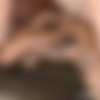 [LatinaAbuse.com / Hadcore DoorWay / FacialAbuse.com] Crystal Lopez 2 [2017, Anal, Degradation Porn, Extreme, Face Fucking, Humiliation Porn, Latina, Rough Sex, Throat Fucked, 720p, SiteRip] thumb
