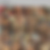 Booballoo#5 /  #5 (Erotic Planet) [2013 ., Natural Big Tits,Mature,All sex,Anal,Facial, DVDRip] thumb