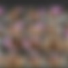 [MomsExplorer.com/MatureTales.com] (22 )    [2000-2010.,big tits, mature,SiteRip] thumb