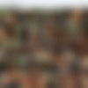 Lexington Steele Megapack (338 scenes) thumb