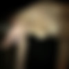 [GloryHoleSwallow] Claire 2nd visit [1080p] thumb