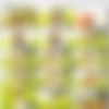 [FTVGirls.com]Lacey - RenewedSexuality thumbnail