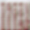Cherry Blush - The Ultimate Collection (540 Videos) thumbnail