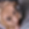 [TeenFidelity] Breezy Bri - Easy Breezy - Teenfidelity #641 [2160p] thumbnail