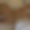 [FC2PPV.net / FC2.com] This is my first time with such an obscene mako ejaculation. [FC2-PPV-3695182][uncen] [2023 ., All Sex, Blowjob, Creampie, Vibrator, 1080p] thumb