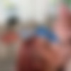 [BangBros18.com / BangBros.com] Kira Perez (XXX Games) [2021.12.05, All Sex] thumb