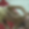 [GANG BANG / PutaLocura.com] Erika Sevilla (Sexo cerdo con su novio y muchas pollas mas! / 17.12.2012) [Natural Tits, Cumshot, Orgy] [720p] thumb